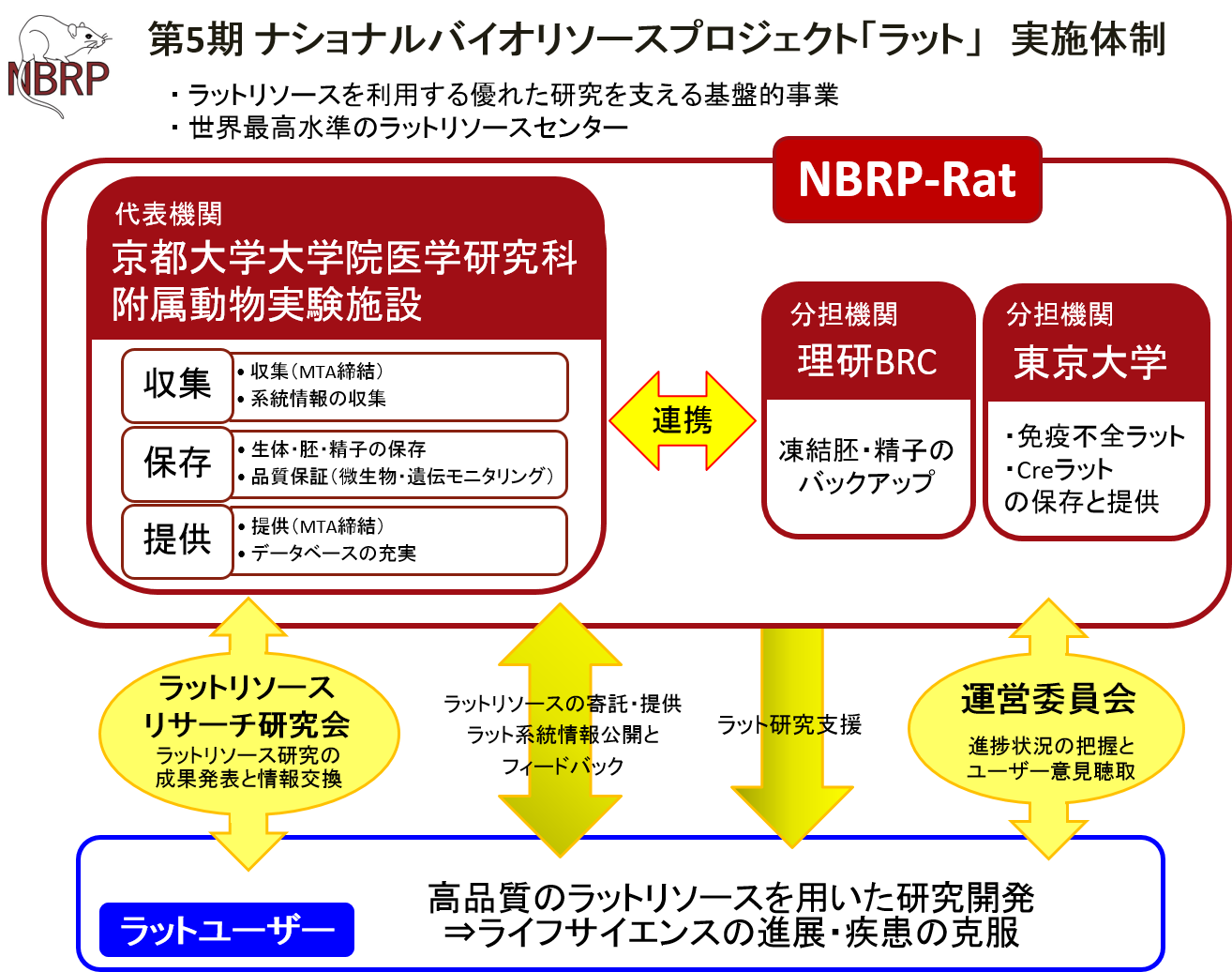 NBRP structure